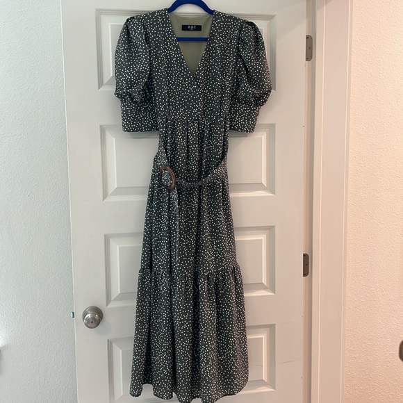 [OPT] Green Papin Dress from Tuckernuck - Picture 8 of 8